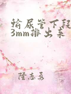 输尿管下段结石3mm排出来