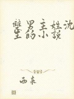 双男主姓沈是重生的小说