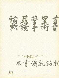 输尿管里有结石软镜手术费用多少