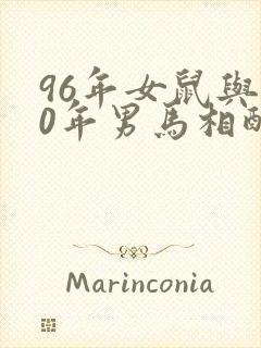 96年女鼠与90年男马相配婚姻如何