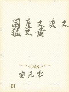 国产又爽又粗又猛又黄