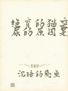 绝育的猫突然乱尿的原因是什么