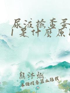 尿液检查蛋白质1 是什么原因