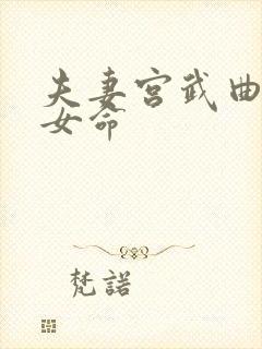 夫妻宫武曲贪狼女命