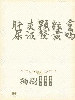 肝爽颗粒会导致尿液发黄吗