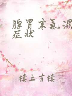 脾胃寒气湿气重症状