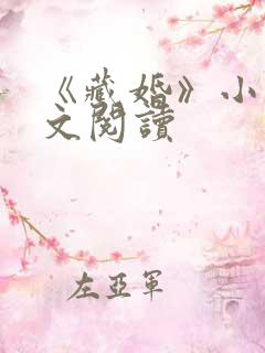 《藏婚》小说全文阅读