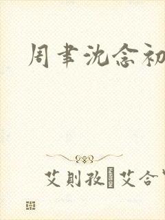 周聿沈念初小说