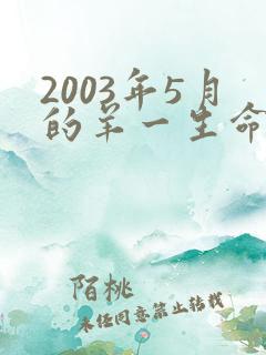 2003年5月的羊一生命运如何