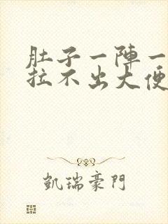 肚子一阵一阵痛拉不出大便