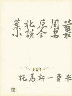 叶北辰周若妤的小说全名最新章节