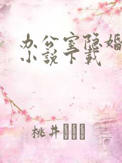 办公室隐婚轻黯小说下载