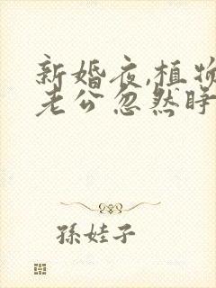 新婚夜,植物人老公忽然睁开眼全文阅读