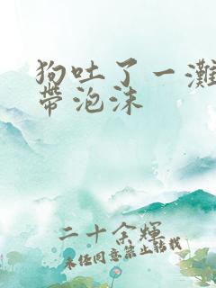 狗吐了一滩黄水带泡沫