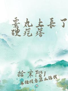 睾丸上长了白色硬疙瘩