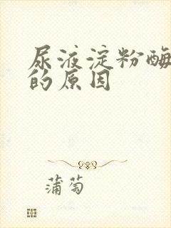 尿液淀粉酶升高的原因