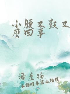 小腹又鼓又硬怎么回事