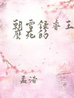 朝雪录睿王是怎么死的
