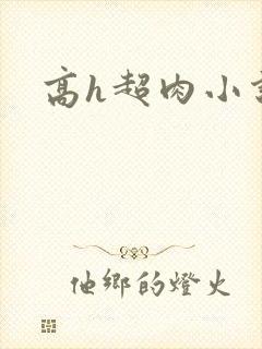 高h超肉小说