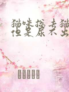 猫咪总去猫砂盆但是尿不出来