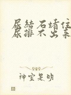 尿结石堵住尿道尿排不出来怎么办