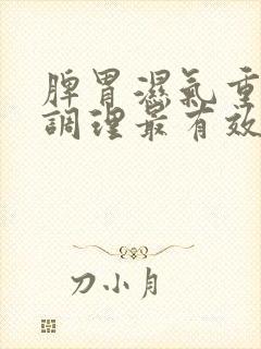 脾胃湿气重怎么调理最有效