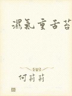 湿气重舌苔白腻