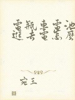 电瓶车电池充不进去电怎么办