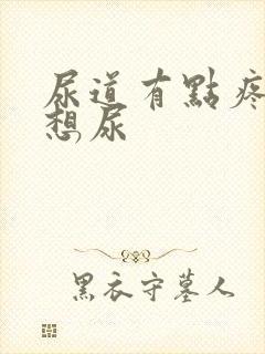 尿道有点疼总是想尿