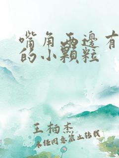 嘴角两边有白色的小颗粒