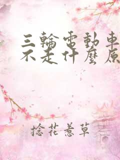 三轮电动车有电不走什么原因