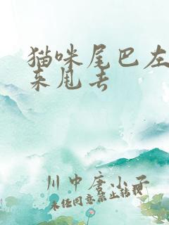 猫咪尾巴左右甩来甩去