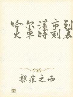 哈尔滨市到漠河火车时刻表