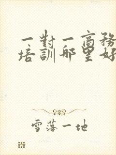 一对一商务英语培训哪里好