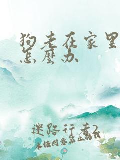 狗老在家里乱尿怎么办