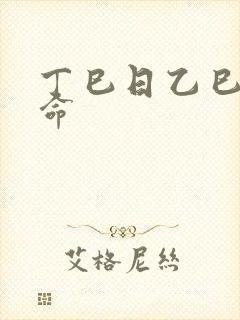 丁巳日乙巳时女命