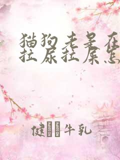 猫狗老是在门口拉尿拉屎怎么处理