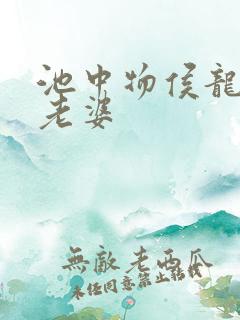 池中物侯龙涛的老婆