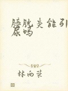 膀胱炎能引起漏尿吗