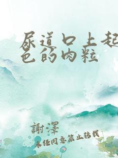 尿道口上起了白色的肉粒