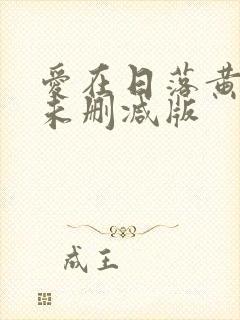 爱在日落黄昏时未删减版