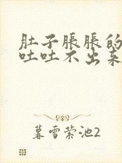 肚子胀胀的 想吐吐不出来