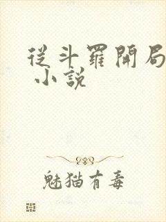 从斗罗开局打卡 小说