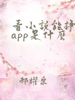 看小说能挣钱的app是什么