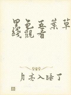 黑色五叶草 在线观看