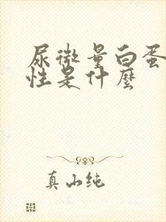 尿微量白蛋白阳性是什么