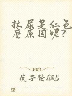 拉尿是红色是什么原因呢?