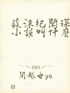 苏沫纪闻琛原著小说叫什么名字