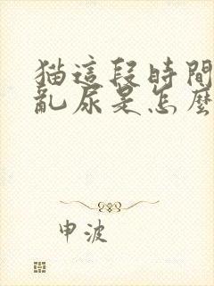 猫这段时间到处乱尿是怎么回事