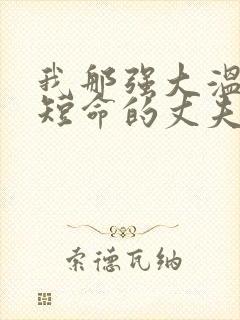 我那强大温柔又短命的丈夫小说